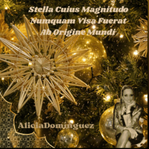 Stella Cuius Magnitudo Numquam Visa Fuerat Ab Origine Mundi Stella Cuius Magnitudo Numquam Visa Fuerat Ab Origine Mundi