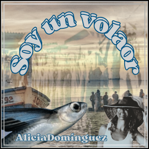 Soy un volaor Soy un volaor